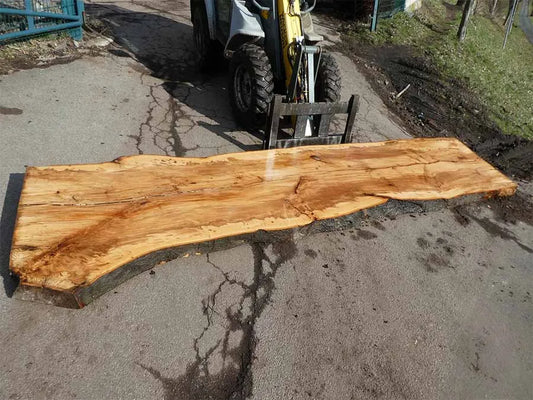 Unbehandelte Tischplatten nach Maß aus Buche | Plattennummer  O-00205
