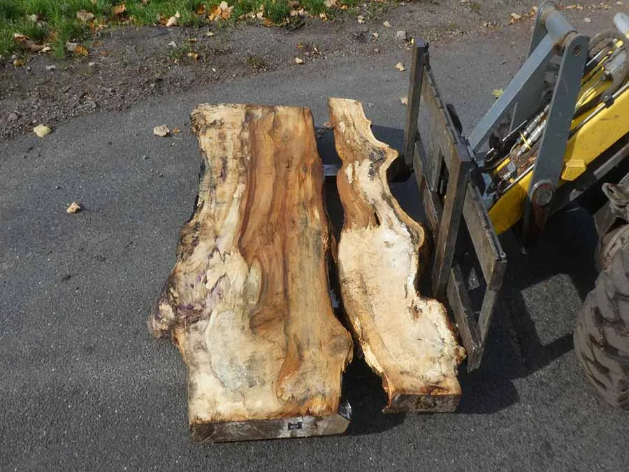 Unbehandelte Tischplatten aus Pappel | S-00128 Pappel