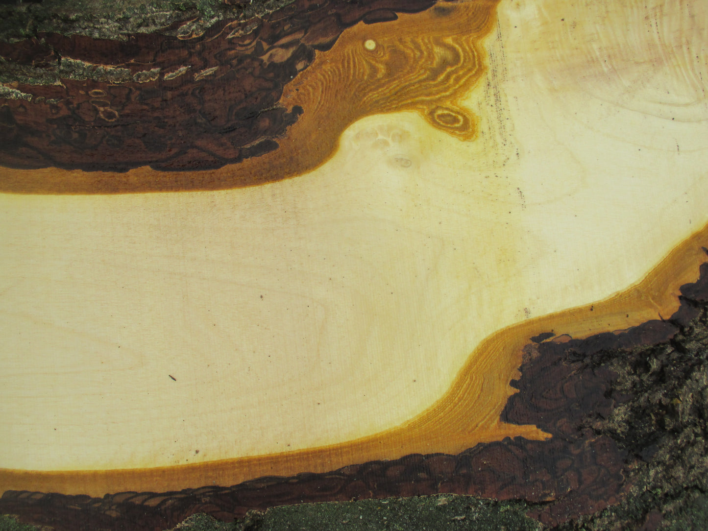 Unbehandelte Tischplatten nach Maß aus Laubholz Nussbaum | Plattennummer  B-00155
