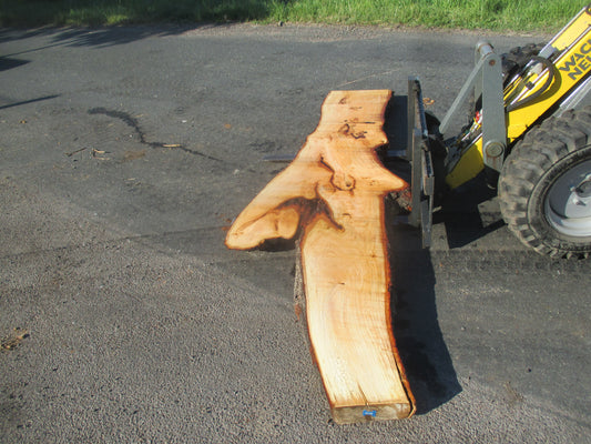 Unbehandelte Tischplatten nach Maß aus Laubholz Linde | Plattennummer  B-00188