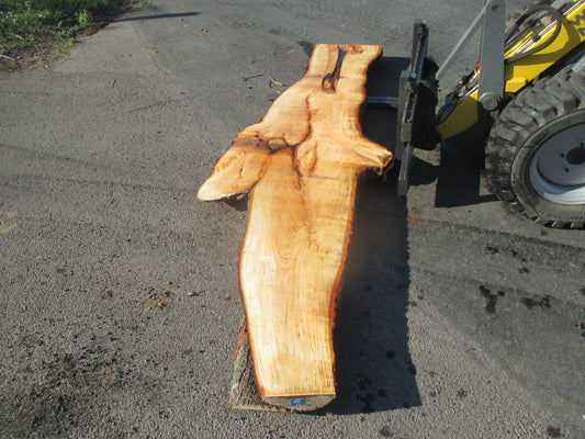 Unbehandelte Tischplatten nach Maß aus Laubholz Linde | Plattennummer  B-00189