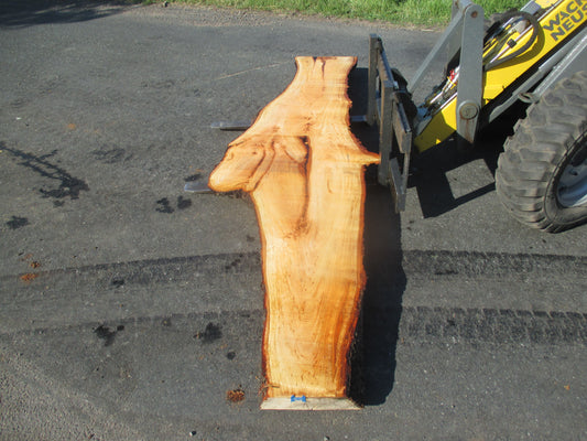Unbehandelte Tischplatten nach Maß aus Laubholz Linde | Plattennummer  B-00190