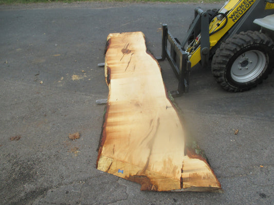 Unbehandelte Tischplatten nach Maß aus Laubholz Kastanie | Plattennummer  B-00253