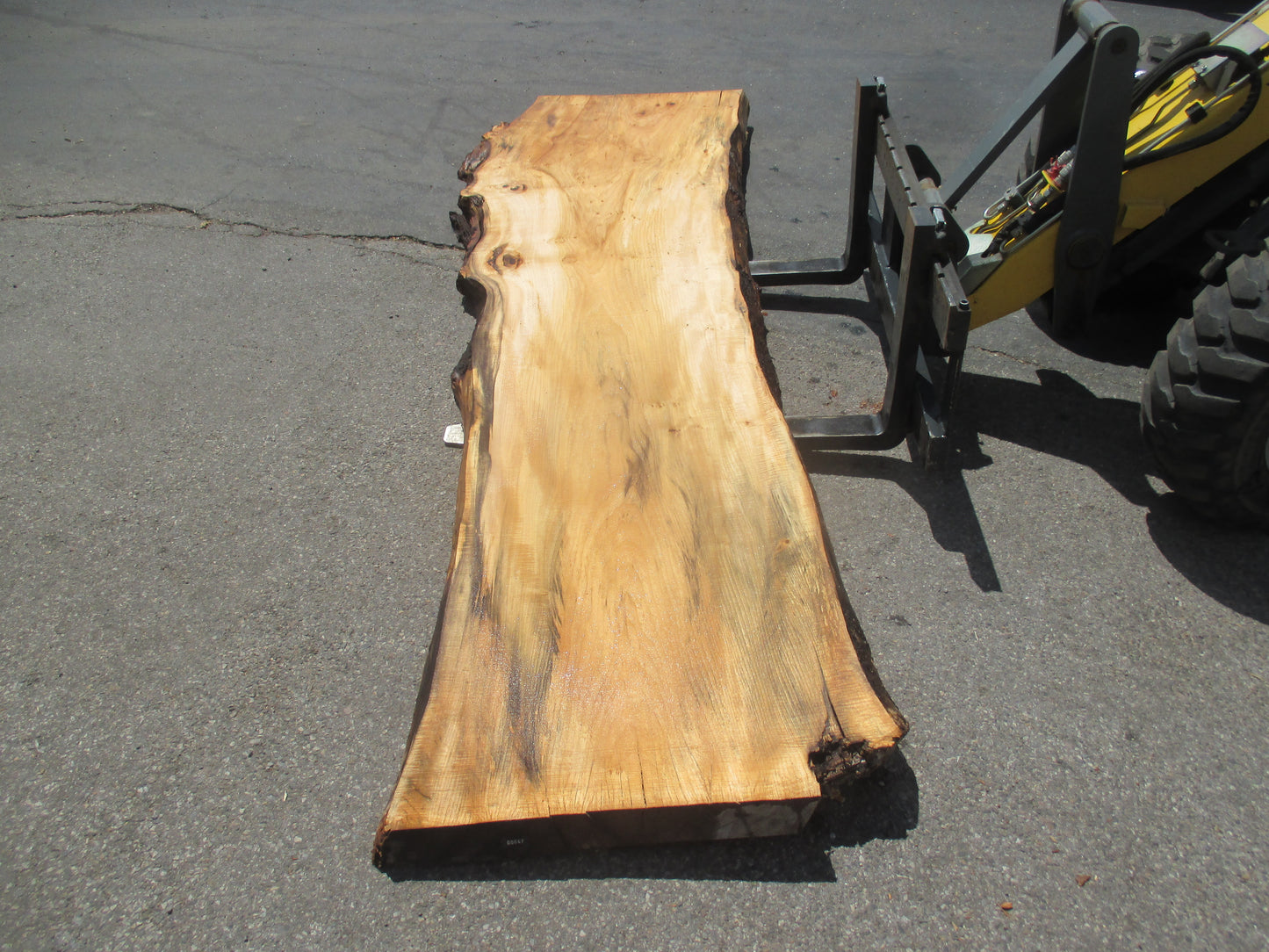 Unbehandelte Tischplatten aus Pappel | Plattennummer S-00047 Pappel