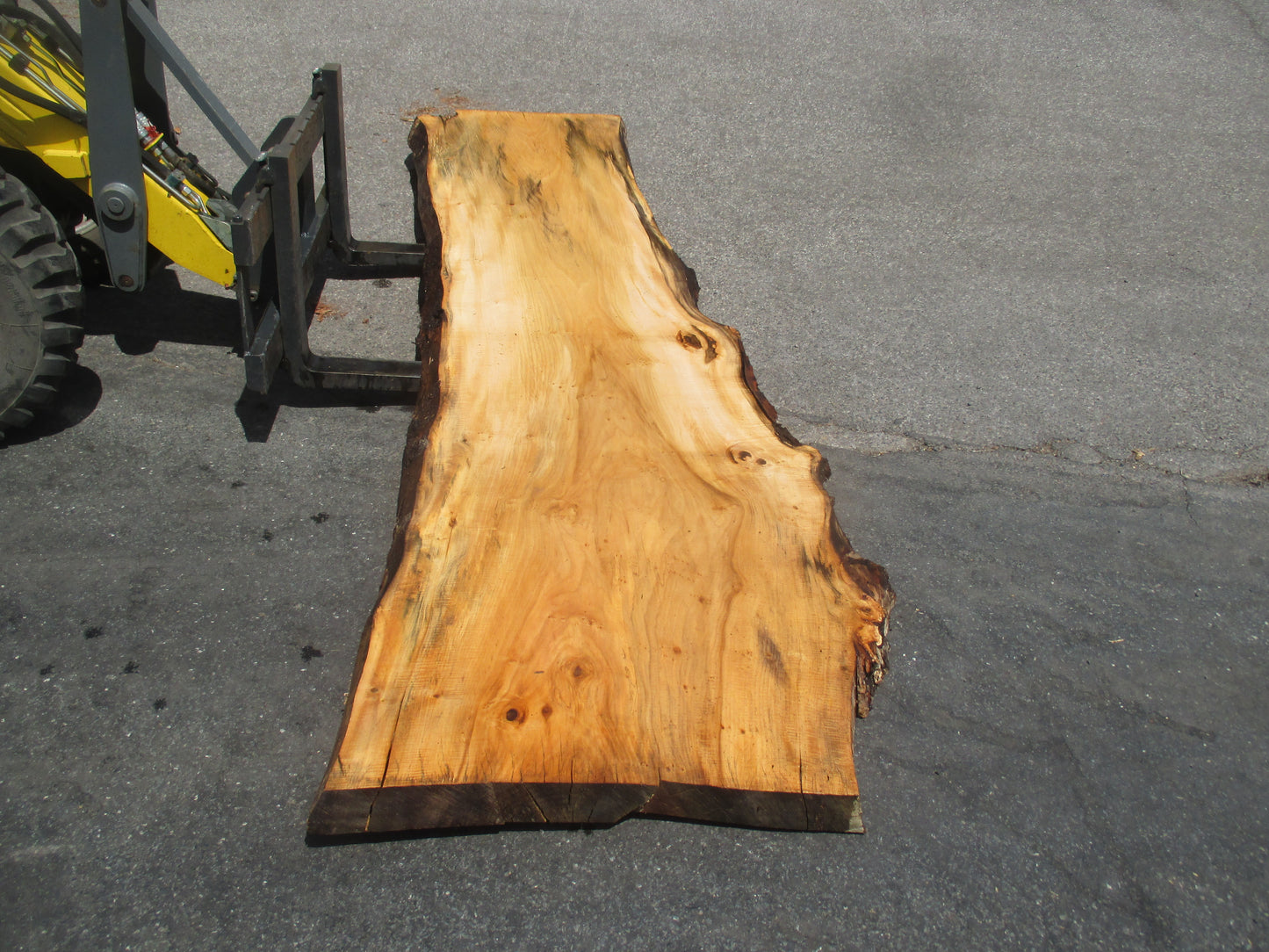 Unbehandelte Tischplatten aus Pappel | Plattennummer S-00047 Pappel