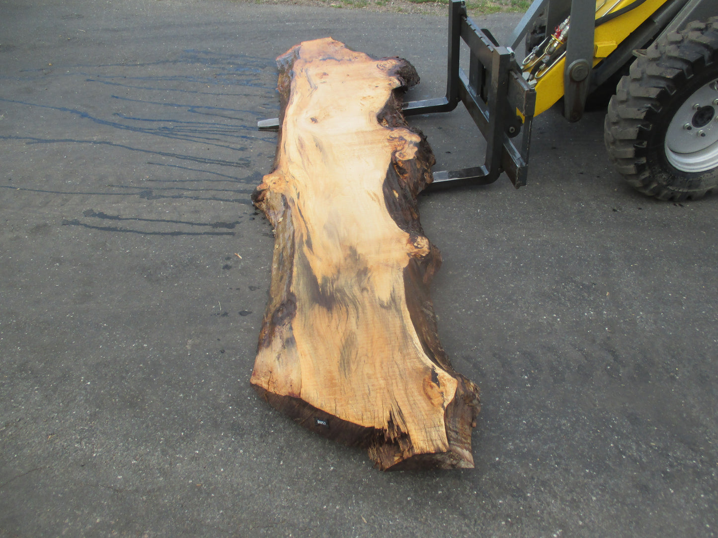 Unbehandelte Tischplatten aus Pappel | Plattennummer S-00053 Pappel