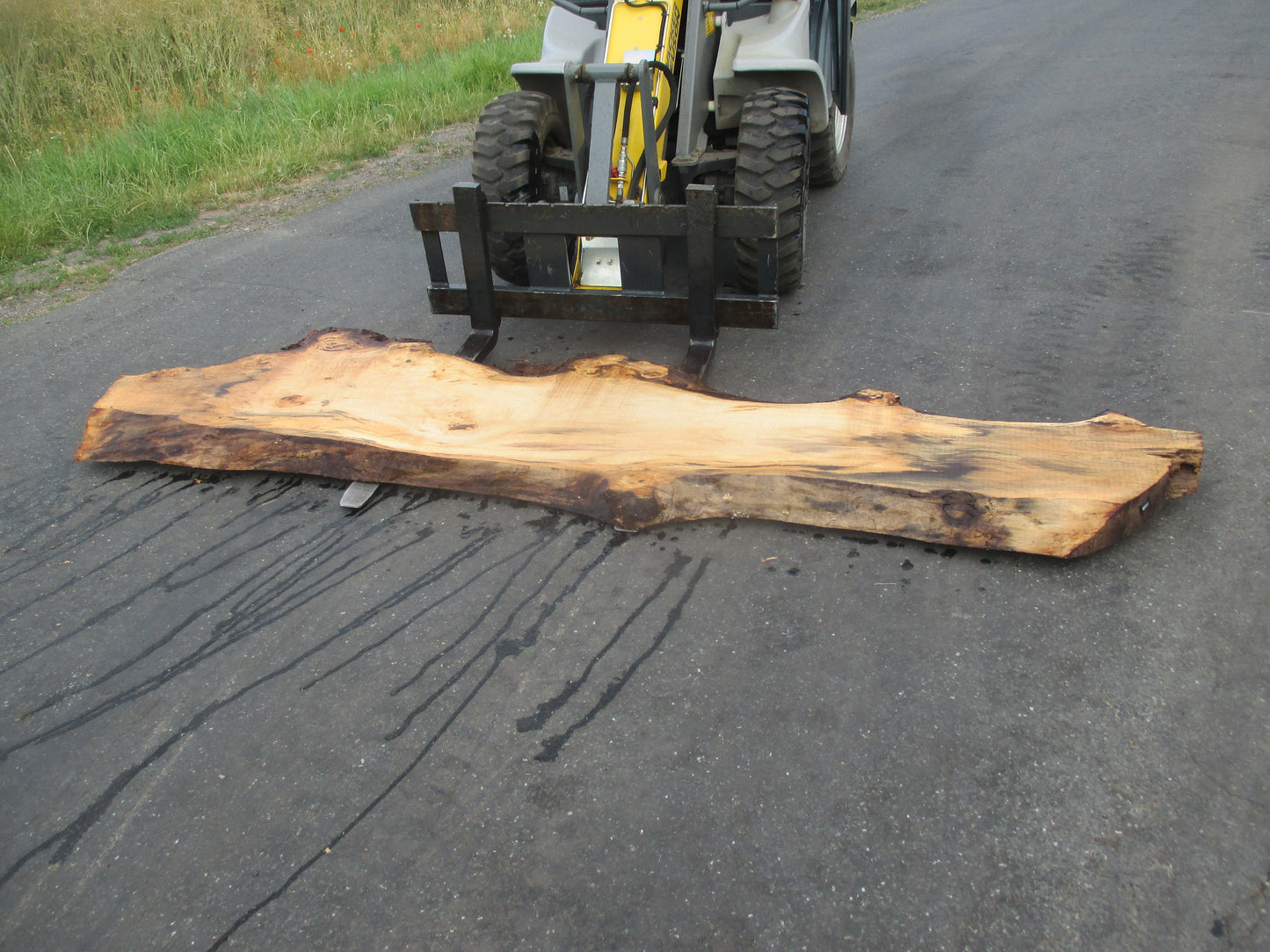 Unbehandelte Tischplatten aus Pappel | Plattennummer S-00053 Pappel