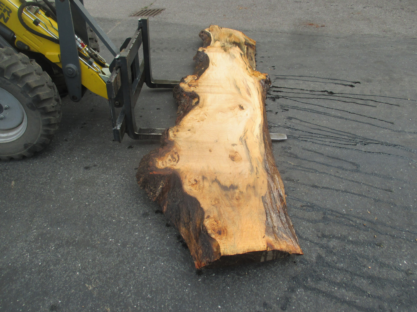 Unbehandelte Tischplatten aus Pappel | Plattennummer S-00053 Pappel