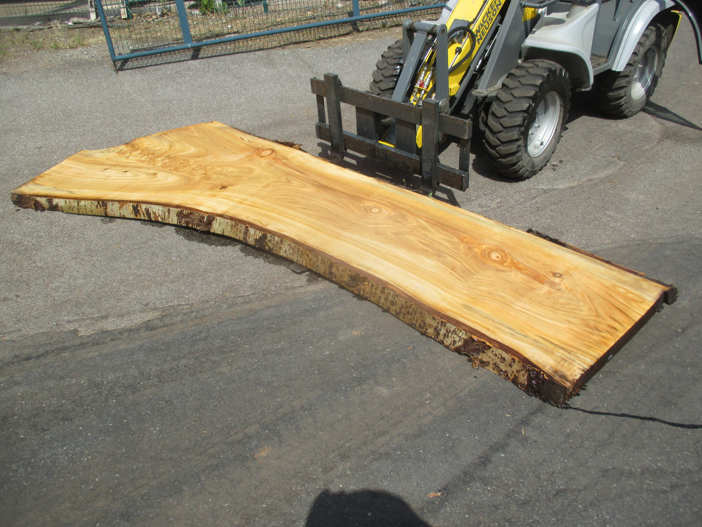 Unbehandelte Tischplatten aus Pappel | Plattennummer S-00055 Pappel