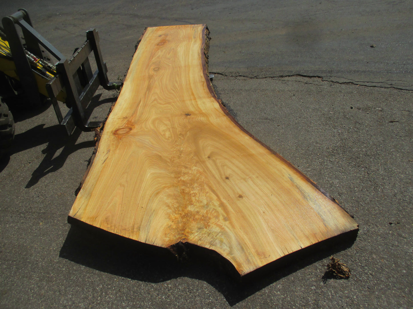 Unbehandelte Tischplatten aus Pappel | Plattennummer S-00055 Pappel