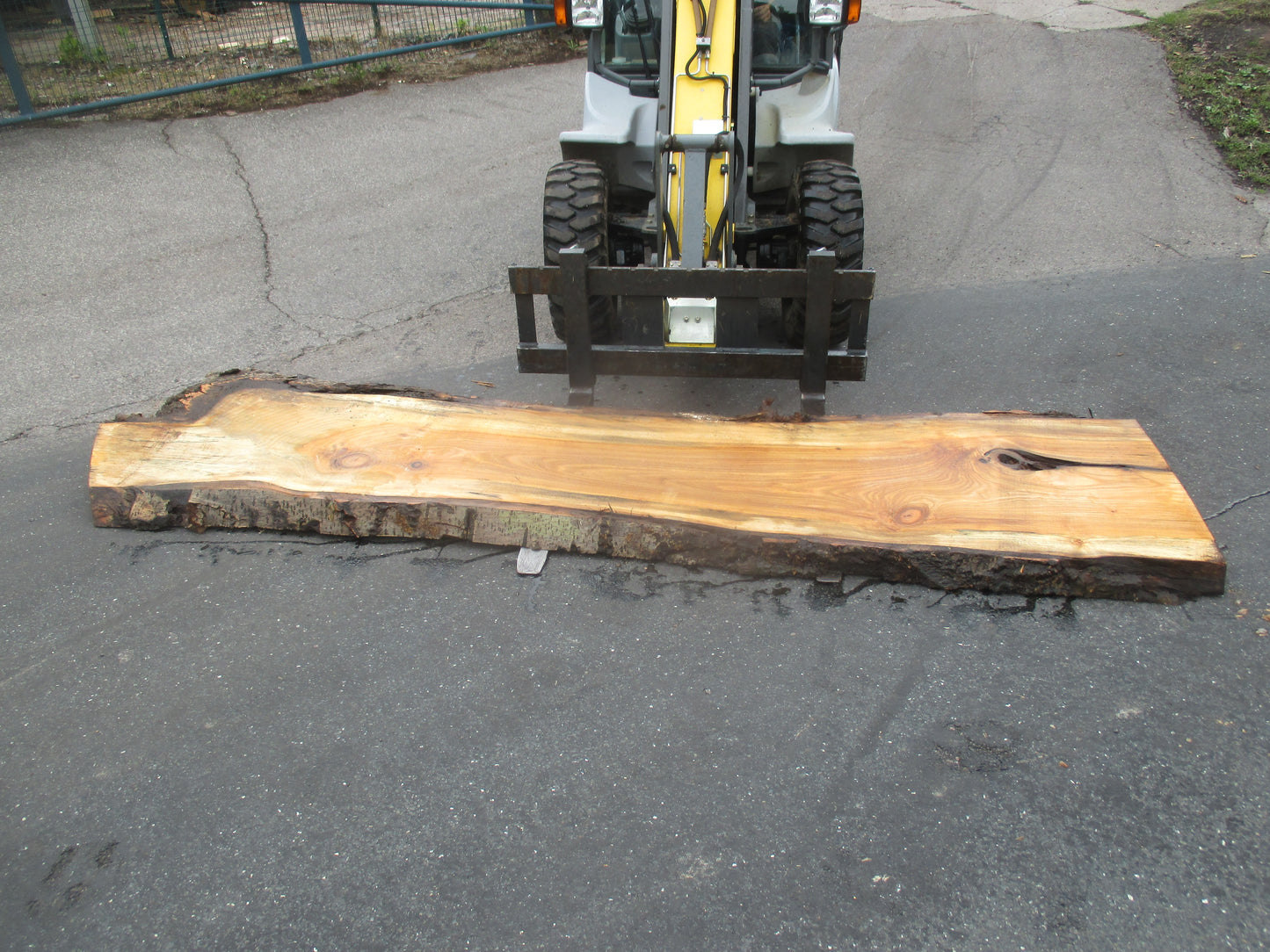 Unbehandelte Tischplatten aus Pappel | Plattennummer S-00058 Pappel