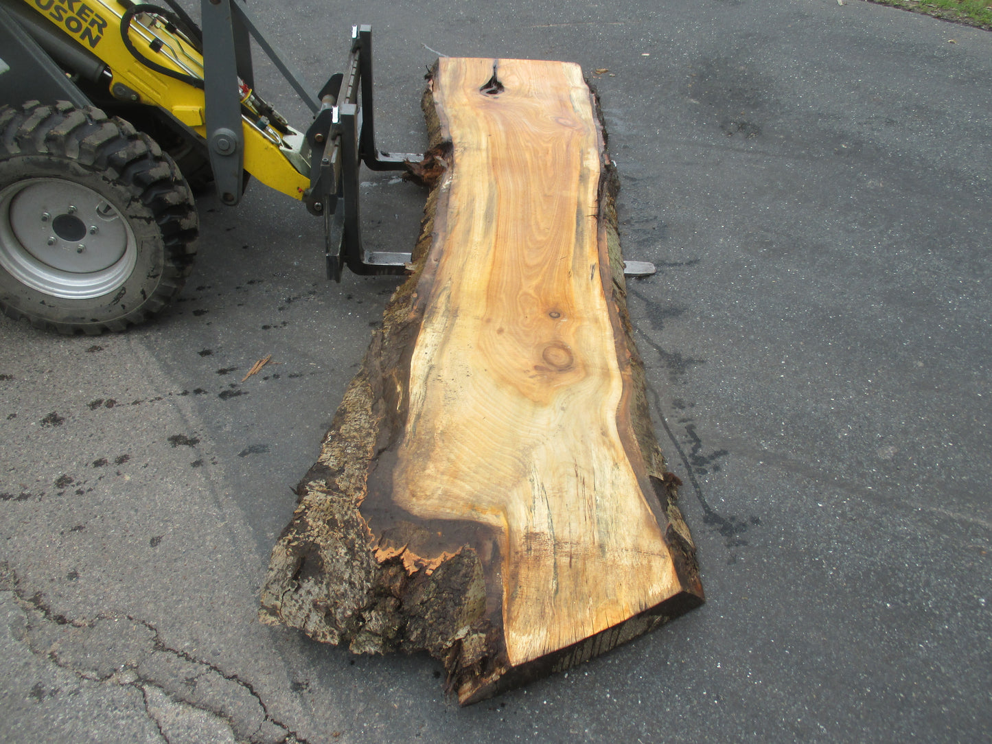 Unbehandelte Tischplatten aus Pappel | Plattennummer S-00058 Pappel