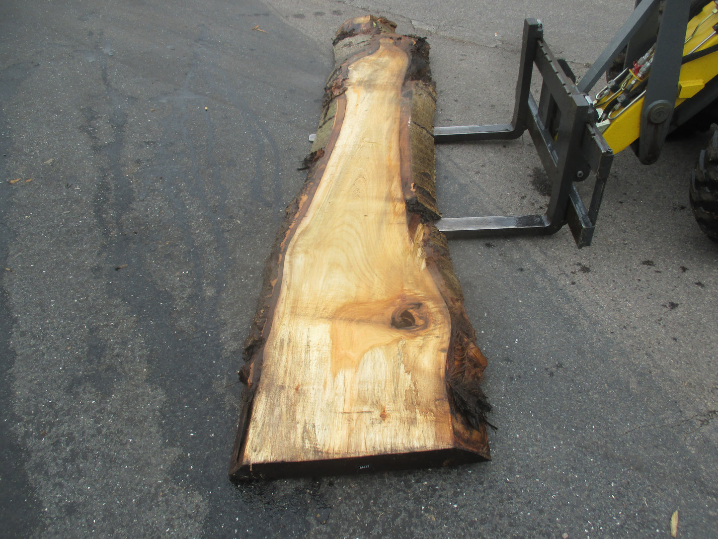 Unbehandelte Tischplatten aus Pappel | Plattennummer S-00060 Pappel