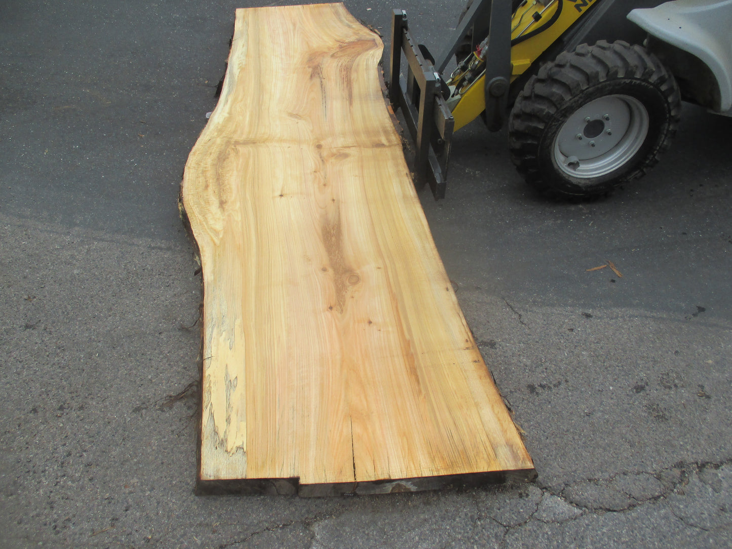 Unbehandelte Tischplatten aus Pappel | Plattennummer S-00062 Pappel