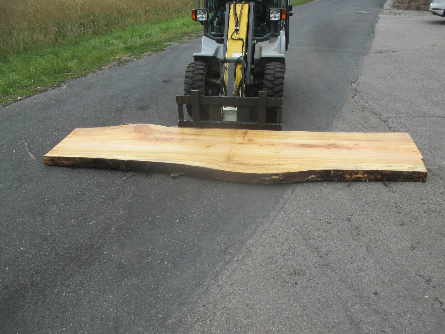 Unbehandelte Tischplatten aus Pappel | Plattennummer S-00062 Pappel