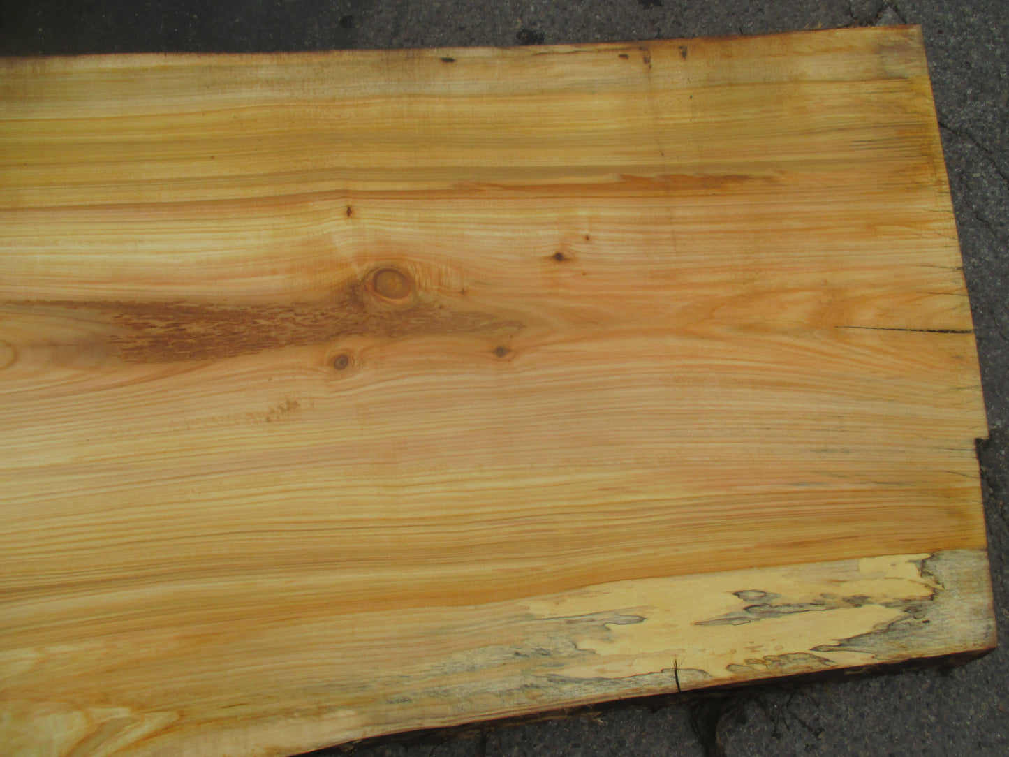 Unbehandelte Tischplatten aus Pappel | Plattennummer S-00062 Pappel