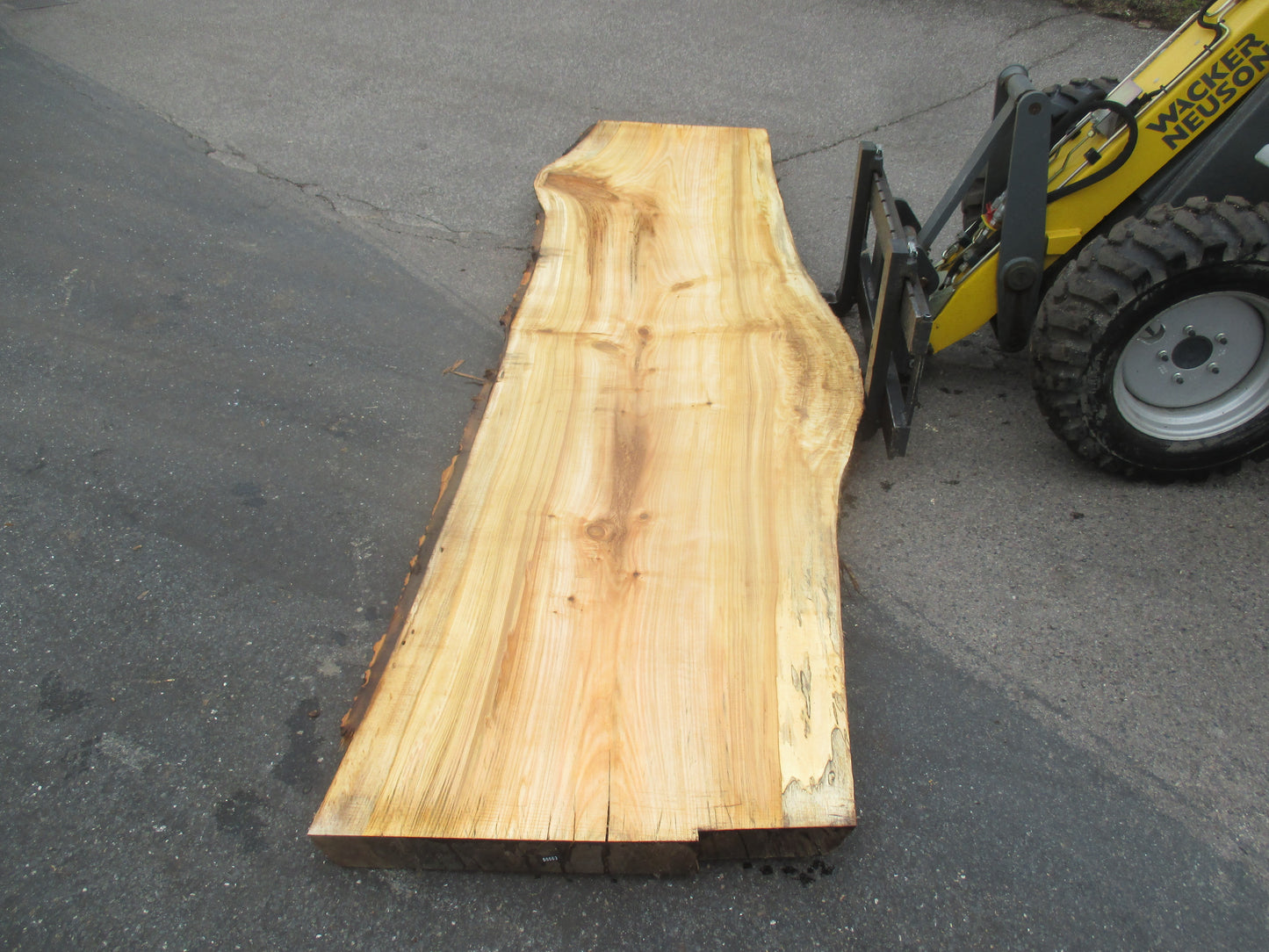 Unbehandelte Tischplatten aus Pappel | Plattennummer S-00063 Pappel