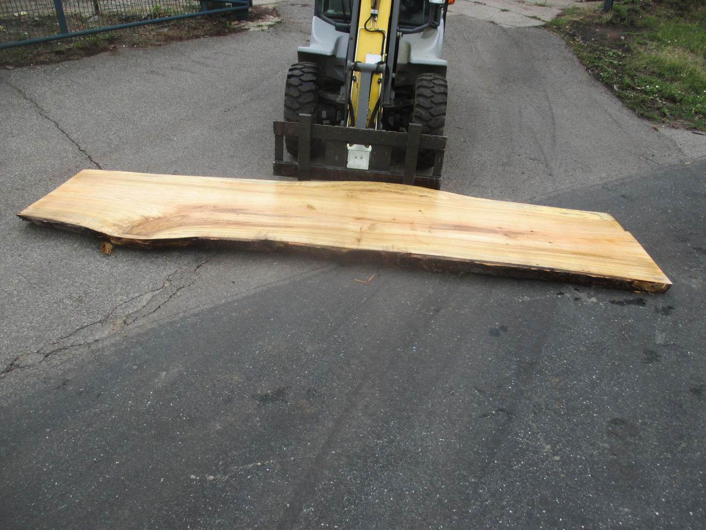 Unbehandelte Tischplatten aus Pappel | Plattennummer S-00063 Pappel