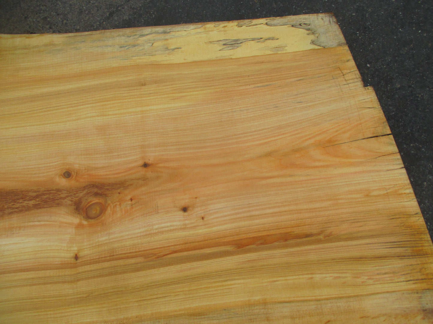 Unbehandelte Tischplatten aus Pappel | Plattennummer S-00063 Pappel