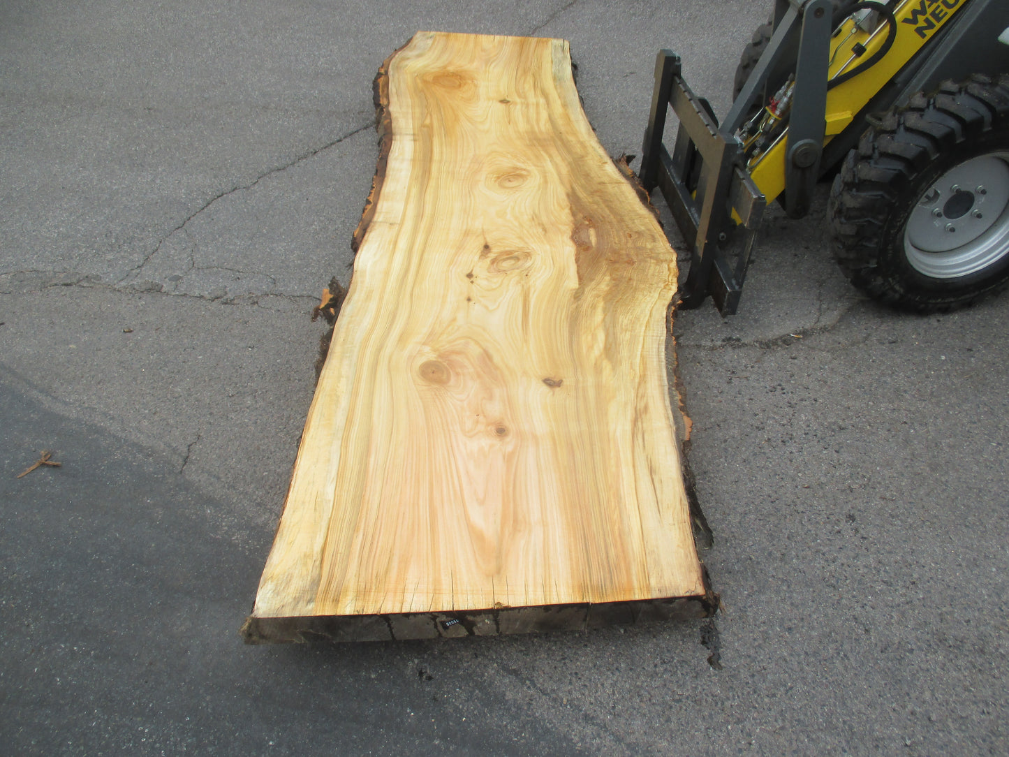 Unbehandelte Tischplatten aus Pappel | Plattennummer S-00064 Pappel