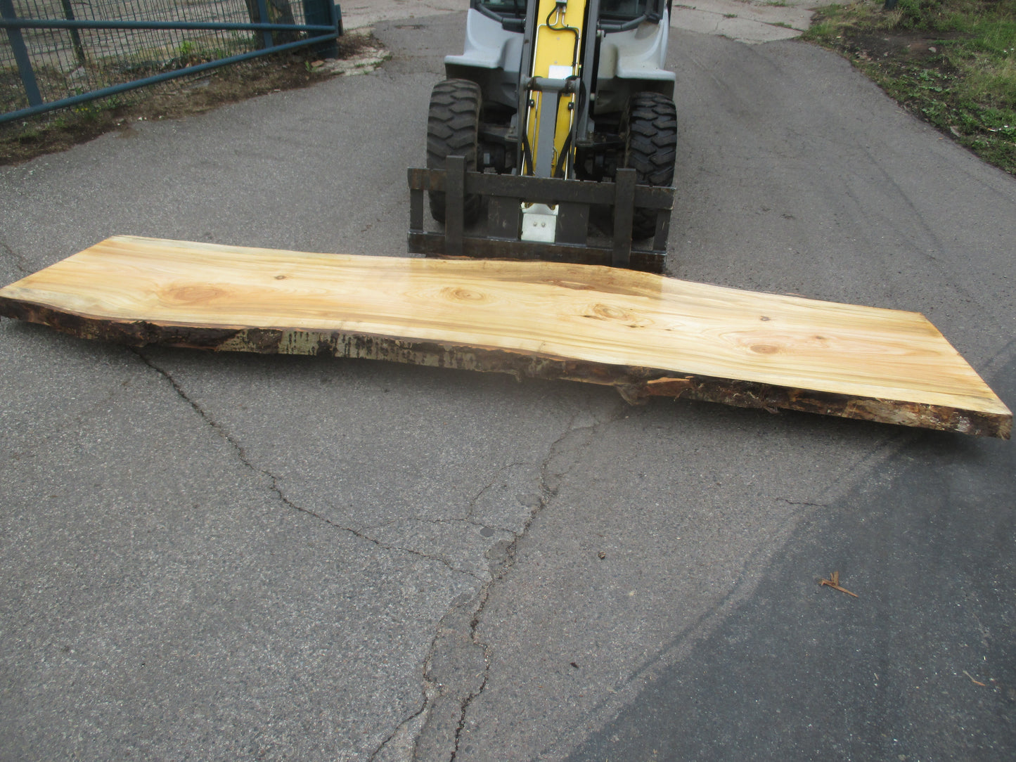 Unbehandelte Tischplatten aus Pappel | Plattennummer S-00064 Pappel