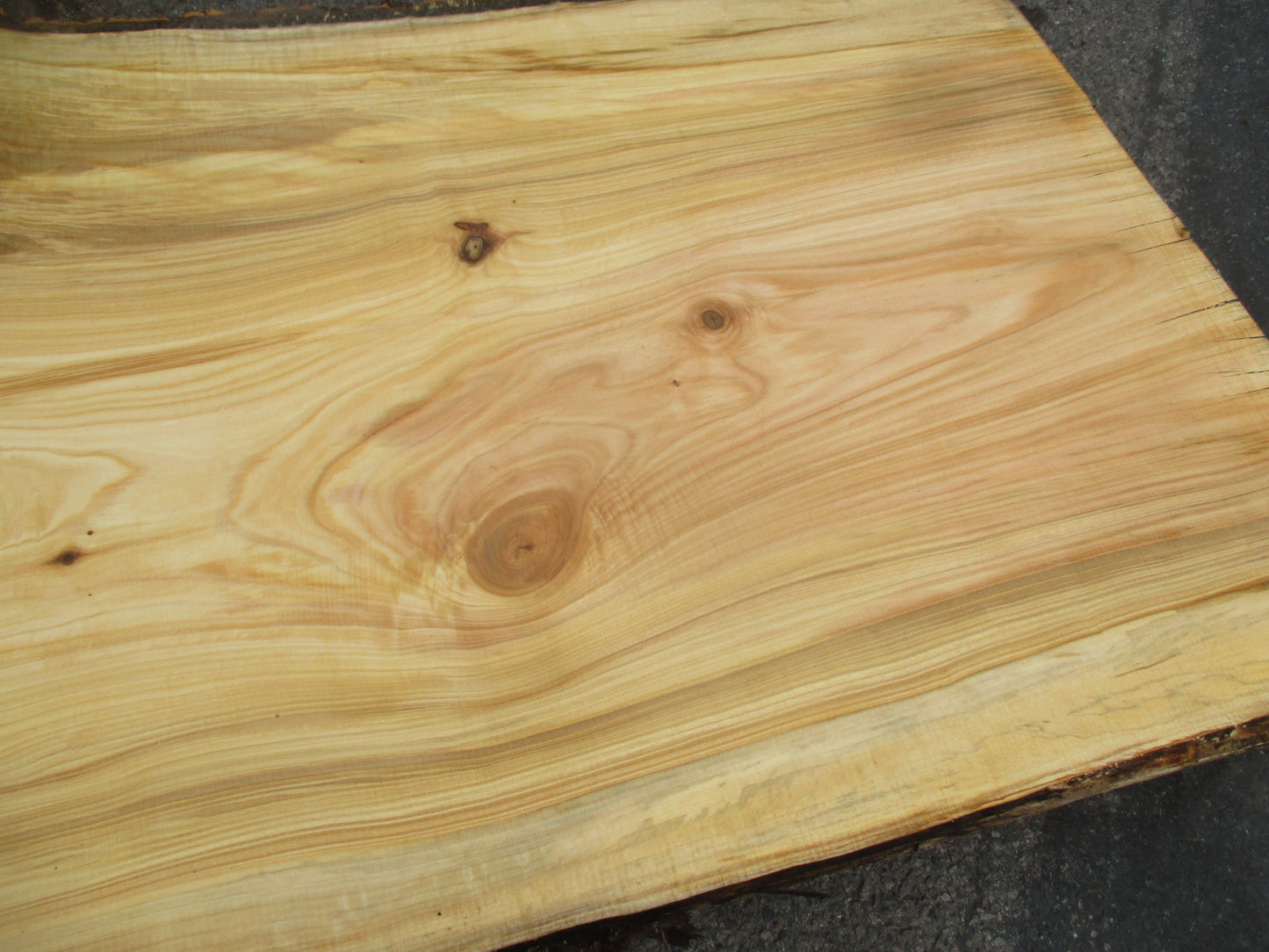 Unbehandelte Tischplatten aus Pappel | Plattennummer S-00064 Pappel