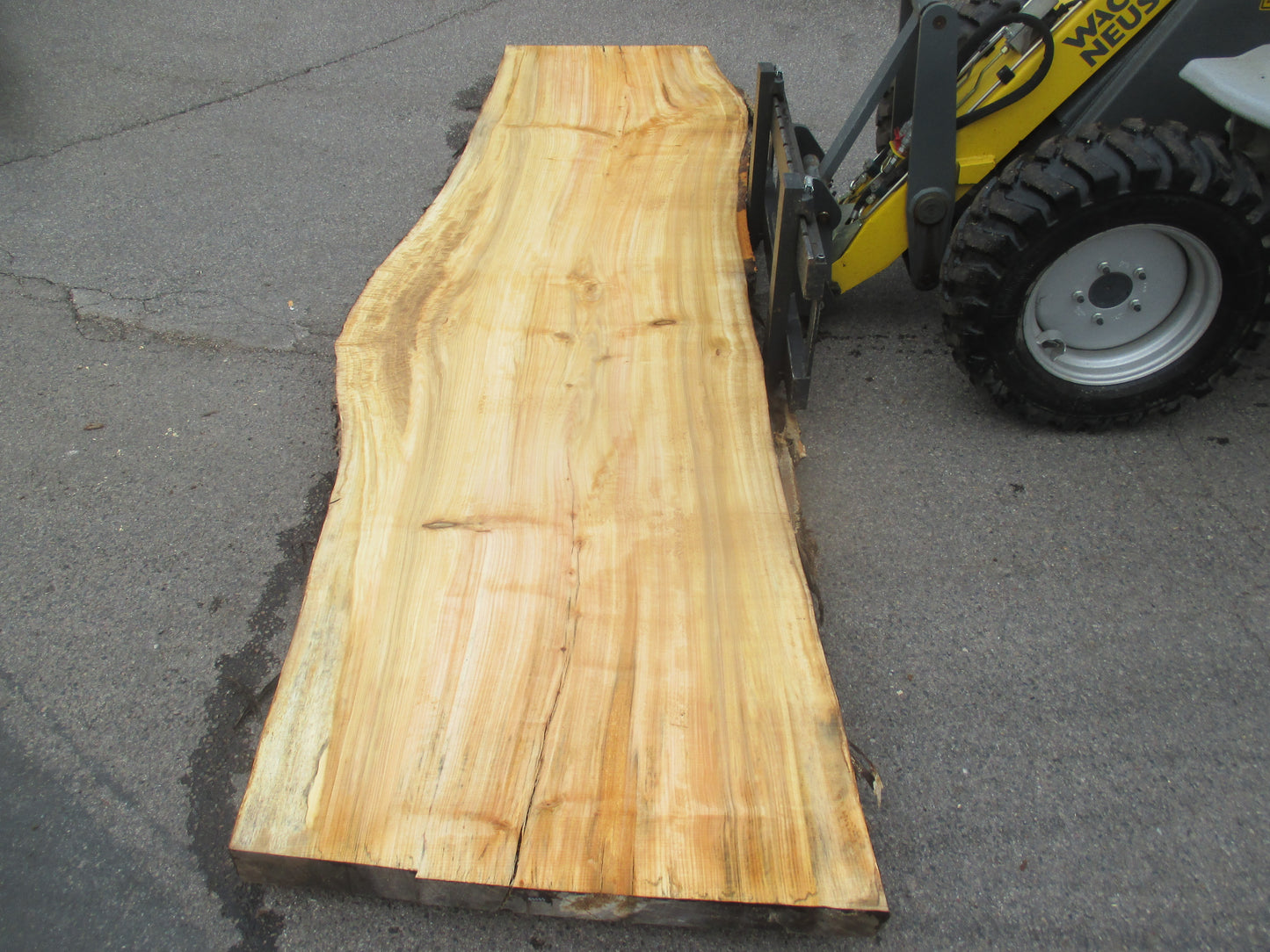 Unbehandelte Tischplatten aus Pappel | Plattennummer S-00065 Pappel