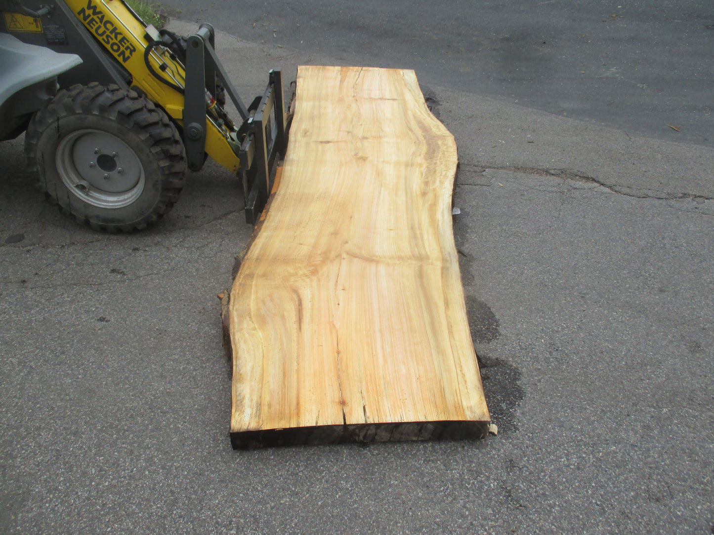 Unbehandelte Tischplatten aus Pappel | Plattennummer S-00065 Pappel
