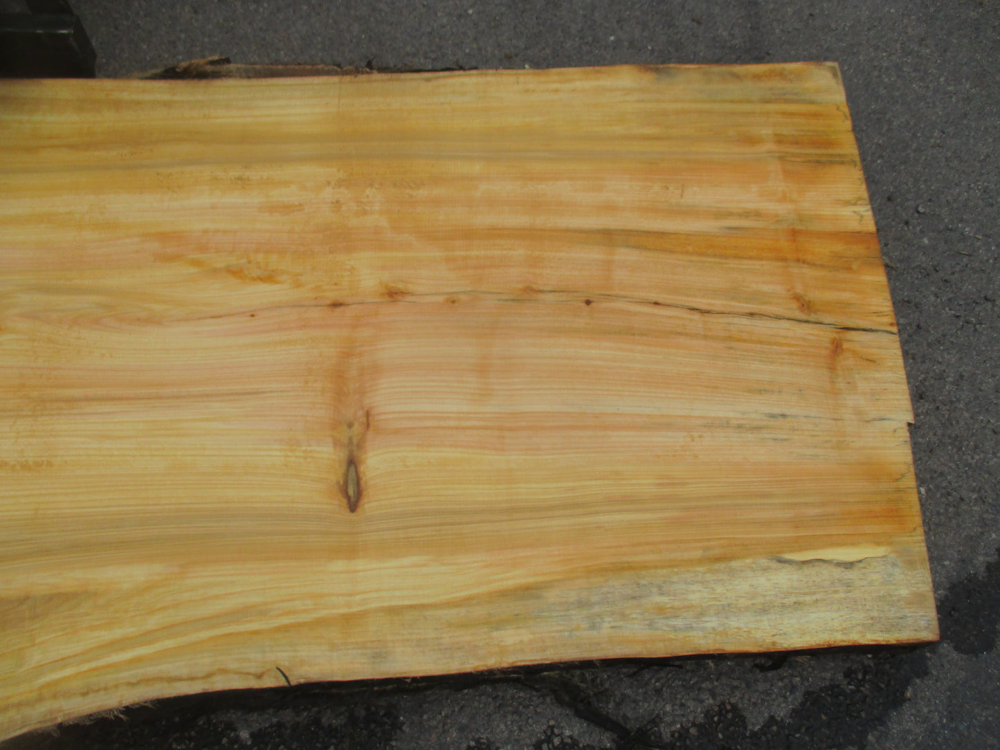 Unbehandelte Tischplatten aus Pappel | Plattennummer S-00065 Pappel
