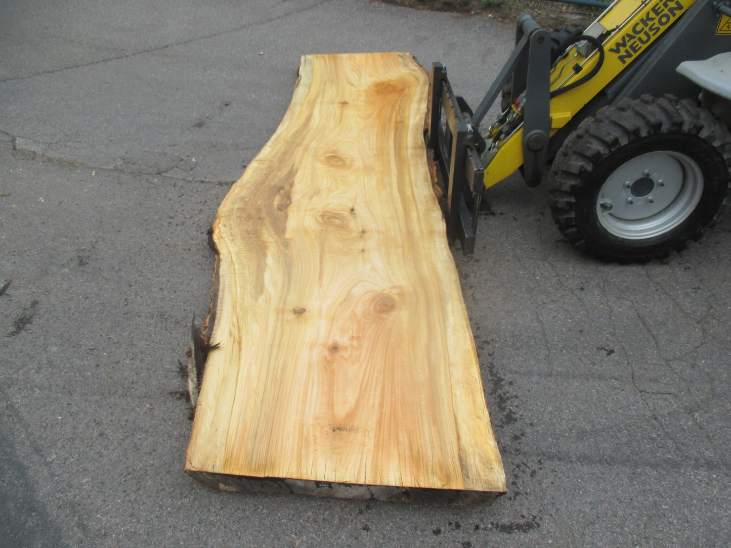 Unbehandelte Tischplatten aus Pappel | Plattennummer S-00066 Pappel