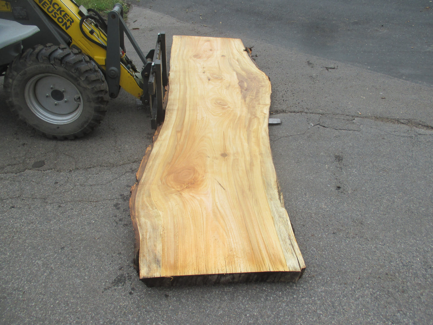 Unbehandelte Tischplatten aus Pappel | Plattennummer S-00066 Pappel