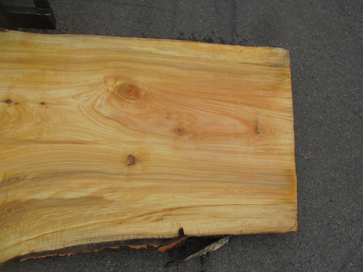 Unbehandelte Tischplatten aus Pappel | Plattennummer S-00066 Pappel
