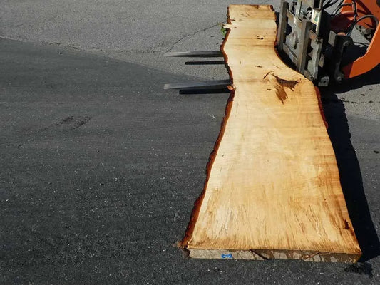 Unbehandelte Tischplatten nach Maß aus Laubholz Kastanie | Plattennummer  B-00310