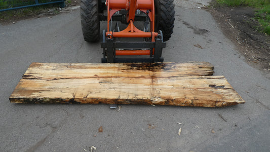 Unbehandelte Tischplatten aus Buche | Plattennummer O-00275 Buche