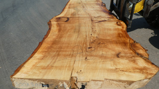 Unbehandelte Tischplatten aus Pappel | Plattennummer S-00084 Pappel