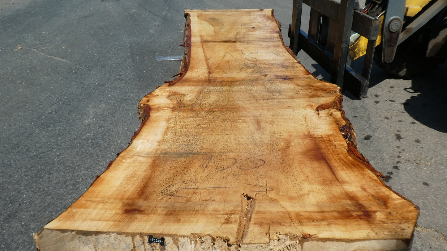 Unbehandelte Tischplatten aus Pappel | Plattennummer S-00085 Pappel