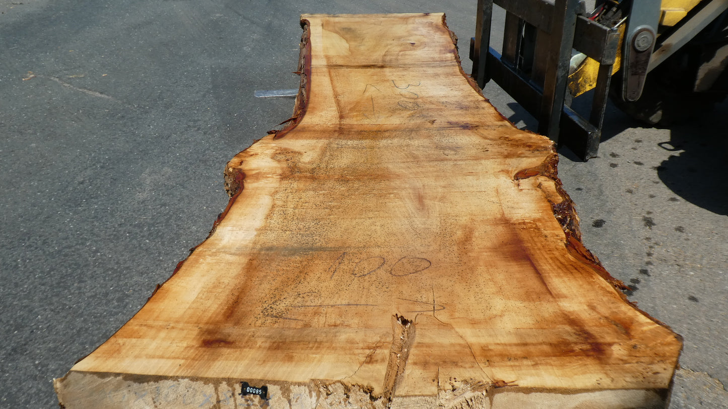 Unbehandelte Tischplatten aus Pappel | Plattennummer S-00085 Pappel