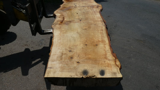 Unbehandelte Tischplatten aus Pappel | Plattennummer  S-00086 Pappel