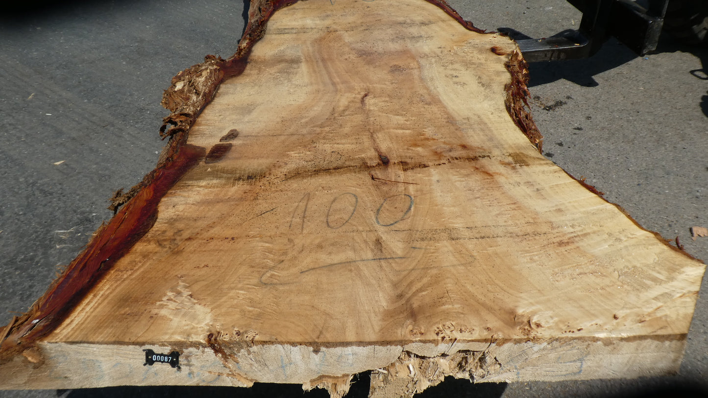 Unbehandelte Tischplatten aus Pappel | Plattennummer S-00087 Pappel
