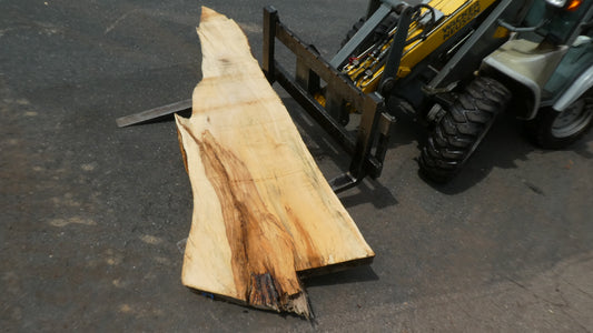 Unbehandelte Tischplatten nach Maß aus Laubholz Kastanie | Plattennummer  B-00404