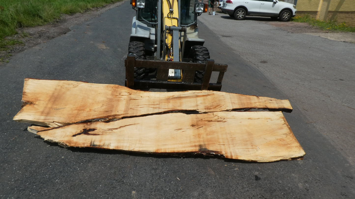 Unbehandelte Tischplatten nach Maß aus Laubholz Kastanie | Plattennummer  B-00412