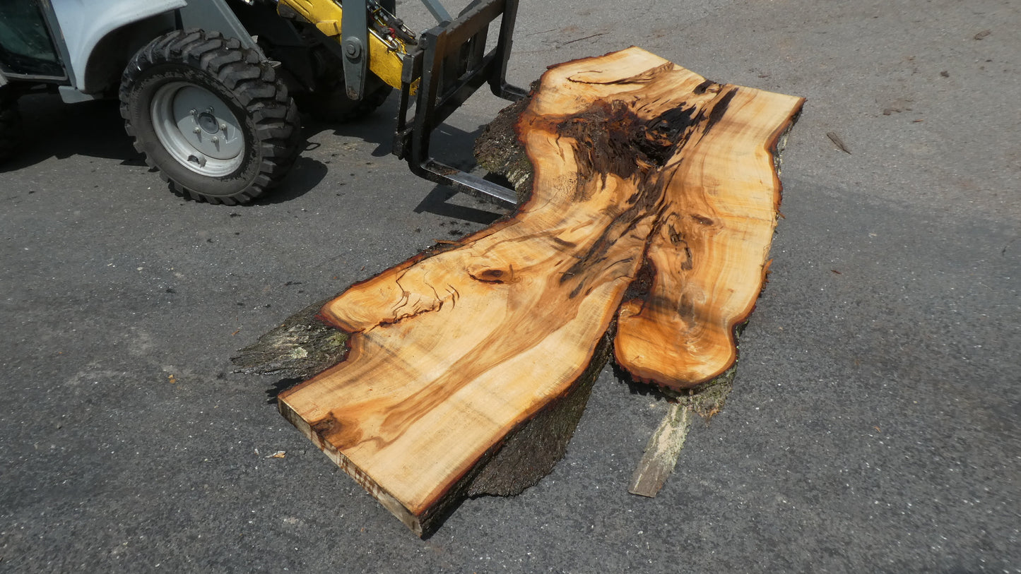 Unbehandelte Tischplatten nach Maß aus Laubholz Linde | Plattennummer  B-00415