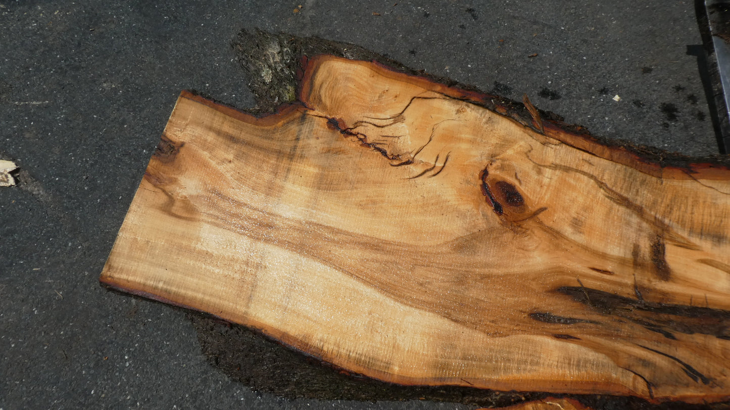Unbehandelte Tischplatten nach Maß aus Laubholz Linde | Plattennummer  B-00415