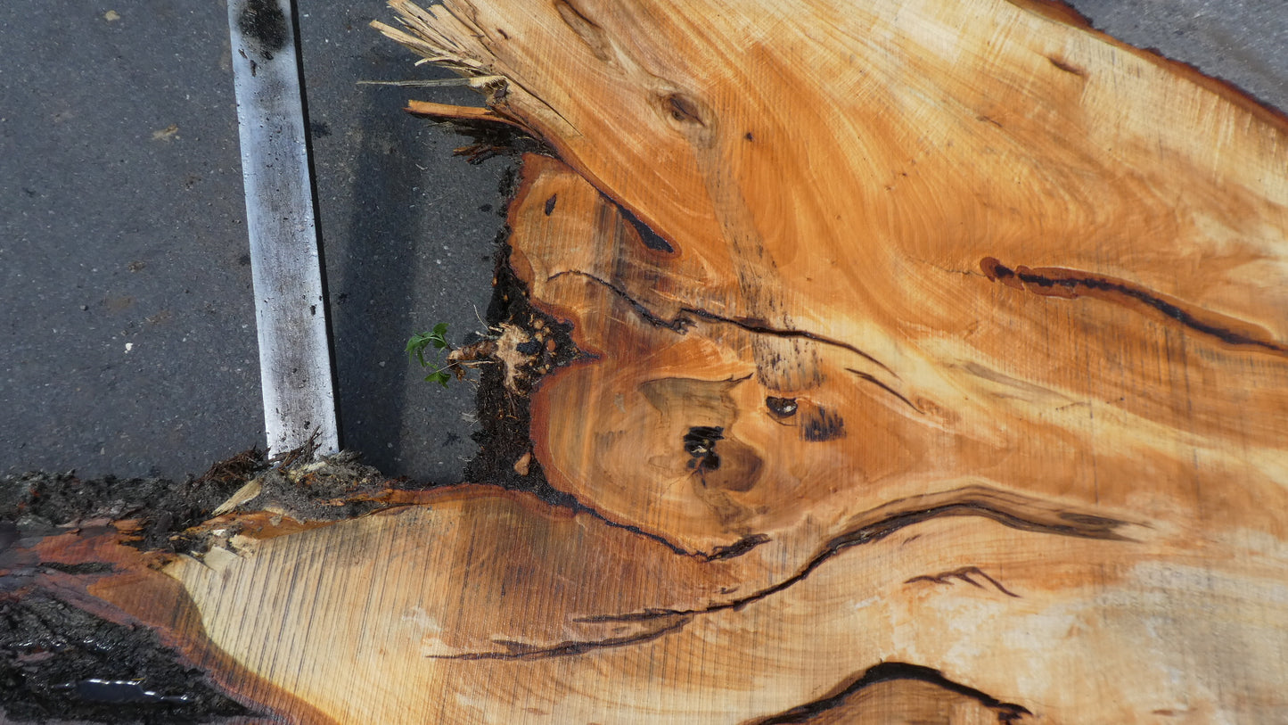 Unbehandelte Tischplatten nach Maß aus Laubholz Linde | Plattennummer  B-00417