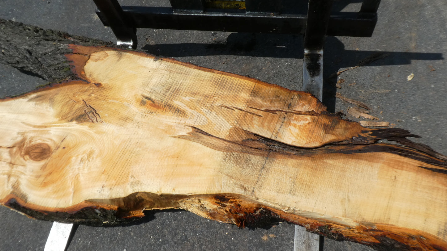 Unbehandelte Tischplatten nach Maß aus Laubholz Linde | Plattennummer  B-00419