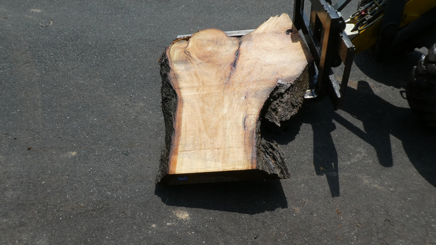 Unbehandelte Tischplatten nach Maß aus Laubholz Linde | Plattennummer  B-00421