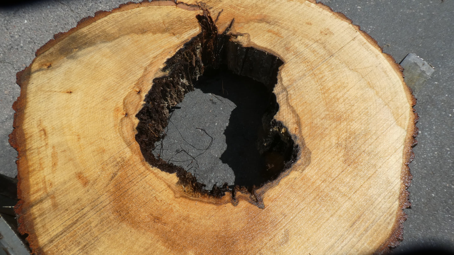 Unbehandelte Tischplatten nach Maß aus Laubholz Linde | Plattennummer  B-00436