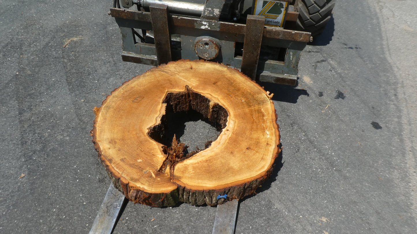 Unbehandelte Tischplatten nach Maß aus Laubholz Linde | Plattennummer  B-00437