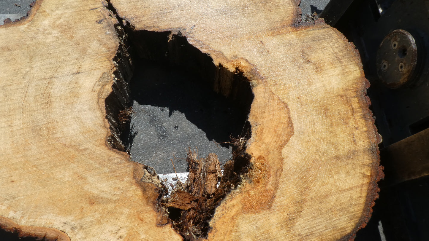 Unbehandelte Tischplatten nach Maß aus Laubholz Linde | Plattennummer  B-00444