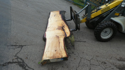 Unbehandelte Tischplatten nach Maß aus Laubholz Kastanie | Plattennummer  B-00449
